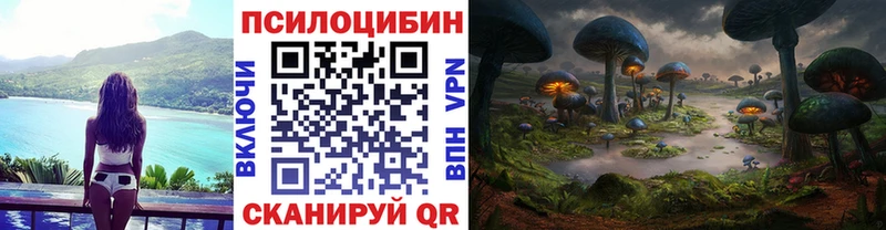 shop как зайти  Набережные Челны  Галлюциногенные грибы Cubensis 